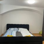 Miete 1 Schlafzimmer wohnung von 45 m² in Wien