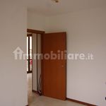 Rent 3 bedroom apartment of 95 m² in Pavia