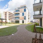 Rent 2 bedroom apartment of 90 m² in Waregem