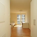 Rent 1 bedroom apartment of 25 m² in Dresden