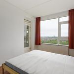 Huur 1 slaapkamer appartement van 45 m² in Haarlem