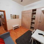 Rent 1 bedroom apartment in Segovia