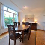 Rent 3 bedroom apartment of 160 m² in Brussels