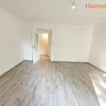 Rent 1 bedroom apartment of 41 m² in Havířov