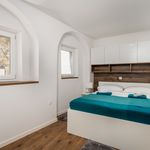 Rent 1 bedroom apartment of 30 m² in Rijeka