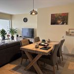 Rent 1 bedroom apartment of 65 m² in Brugge