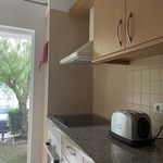 Rent 2 bedroom apartment of 74 m² in Cabanas