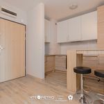 Rent 2 bedroom apartment of 43 m² in Lublin