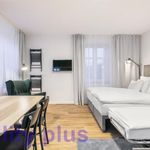 Rent 1 bedroom apartment of 33 m² in Liberec