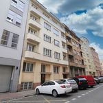 Rent 2 bedroom apartment of 47 m² in Prague