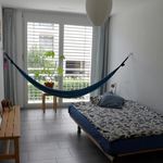Rent 4 bedroom apartment in Zurich