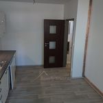 Rent 1 bedroom apartment of 39 m² in Kamenický Šenov