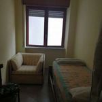Affitto 3 camera appartamento di 80 m² in Falconara Albanese