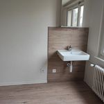 Miete 1 Schlafzimmer wohnung von 17 m² in Allschwil