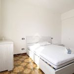 Affitto 4 camera appartamento di 18 m² in Mirandola