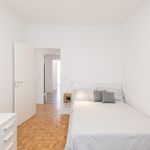 Rent a room of 94 m² in Padua