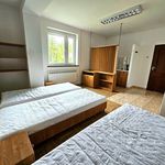 Rent 8 bedroom house of 250 m² in Świlcza