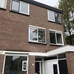 Rent 1 bedroom apartment of 50 m² in Eindhoven