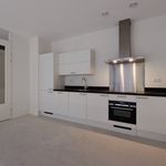Rent 3 bedroom apartment of 74 m² in 's-Gravenhage
