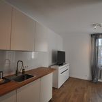 Rent 1 bedroom apartment of 19 m² in Gliwice
