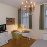 Rent 1 bedroom apartment of 35 m² in Leipzig