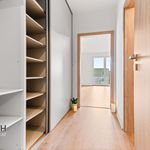 Rent 1 bedroom apartment of 41 m² in Náchod