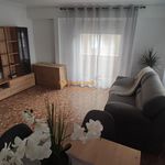 Rent 4 bedroom apartment of 110 m² in Elche