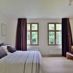 Rent 7 bedroom house of 719 m² in Kapellen