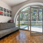 Rent 2 bedroom house of 1300 m² in Piaseczno