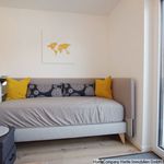 Rent 1 bedroom apartment of 23 m² in Freiburg im Breisgau