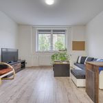 Rent 1 bedroom apartment of 61 m² in Radnice