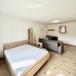 Rent 1 bedroom apartment in Pilsen