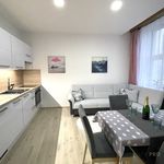 Rent 1 bedroom apartment of 46 m² in Olomouc