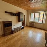 Rent 1 bedroom apartment of 49 m² in Most