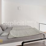 Rent 1 bedroom apartment of 32 m² in Zlín