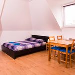 Rent a room of 30 m² in Rotterdam