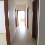 Rent 6 bedroom apartment of 152 m² in Wien