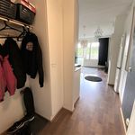 Vuokraa 2 makuuhuoneen asunto, 41 m² paikassa Jyväskylä