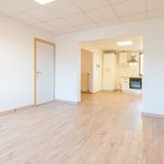 Appartement de 30 m² avec 1 chambre(s) en location à Sint-Niklaas
