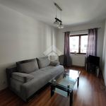 Wynajmij 2 sypialnię apartament z 54 m² w Kraków