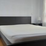 Alquilo 2 dormitorio apartamento de 70 m² en Murcia