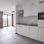 Rent 1 bedroom apartment of 44 m² in Antwerpen