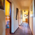 Rent 4 bedroom house of 350 m² in Mijas