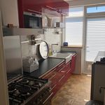 Rent 4 bedroom apartment of 110 m² in 's-Gravenhage