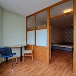 Rent 4 bedroom apartment in Hodonín
