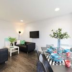 Rent 18 bedroom apartment in Dublin