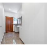 Rent 3 bedroom house in Payneham South