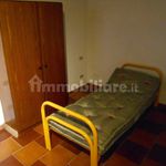Rent 2 bedroom apartment of 35 m² in Capannori