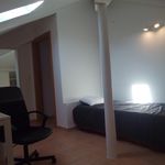 Rent 8 bedroom house in Coimbra