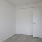 Rent 4 bedroom house of 20323 m² in Bairro da Castelhana